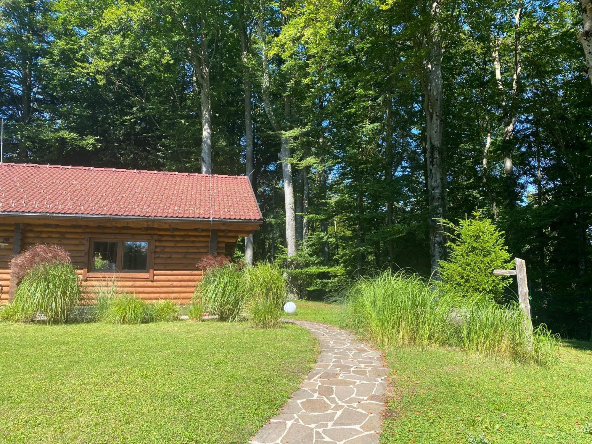 Huette Am Wald Villa Hof bei Salzburg Luaran gambar